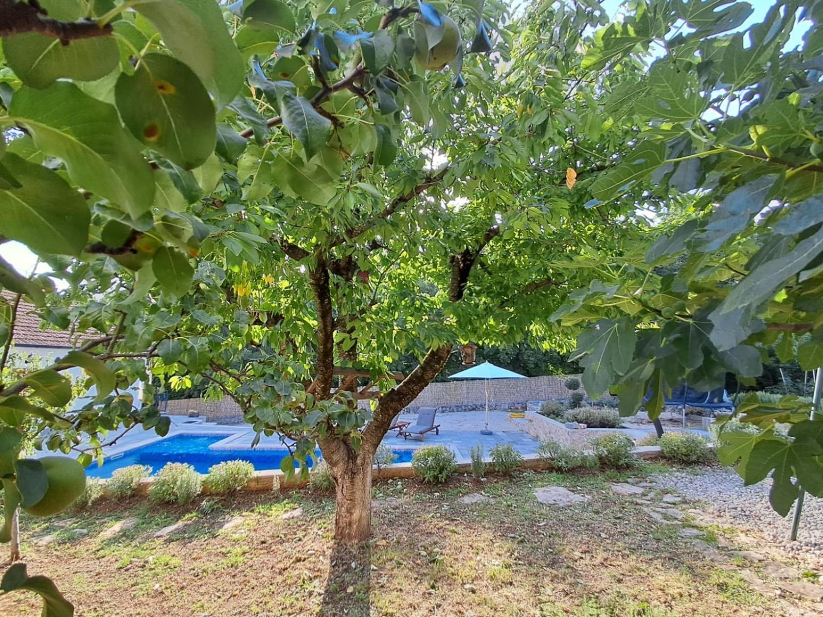 Holiday Home Tone, Makarska - Drum מראה חיצוני תמונה